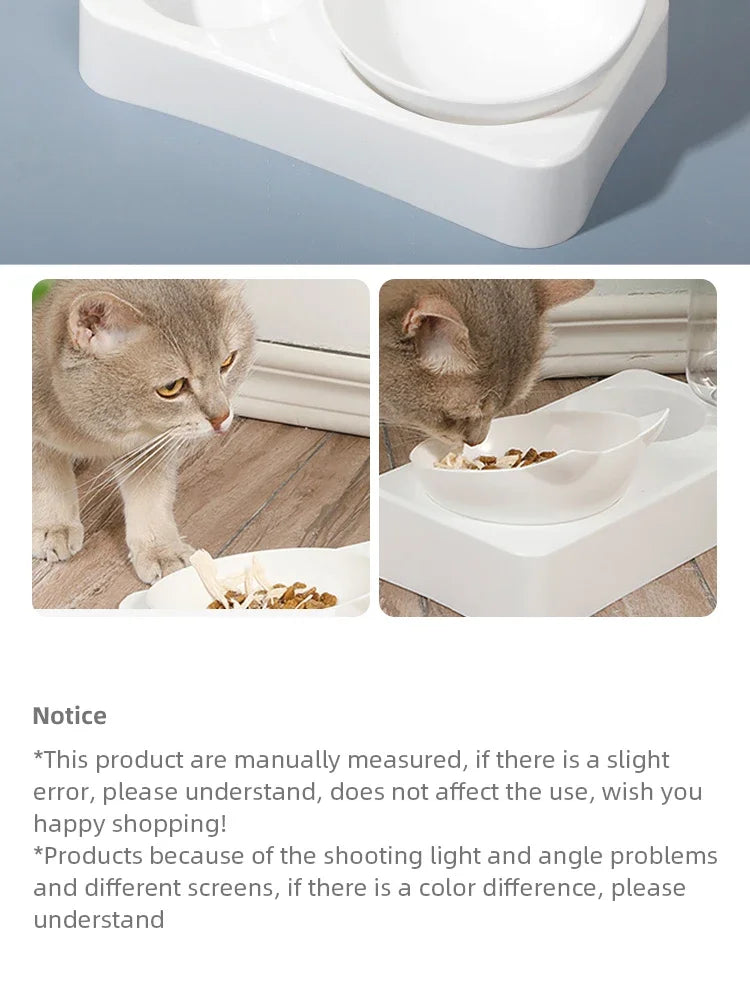 Ergonomic Tilted Pet Bowl