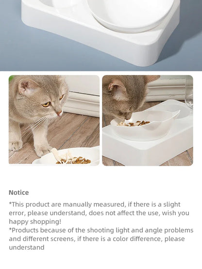 Ergonomic Tilted Pet Bowl