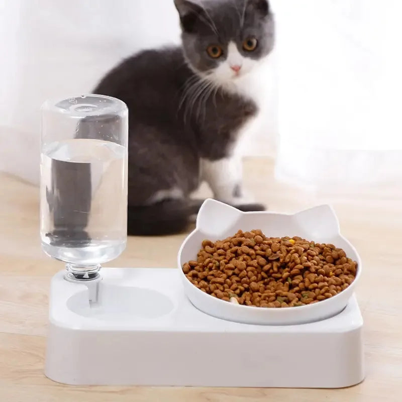 Ergonomic Tilted Pet Bowl