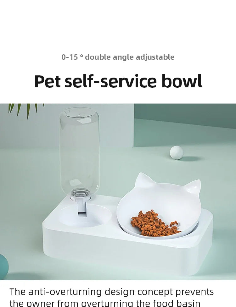 Ergonomic Tilted Pet Bowl