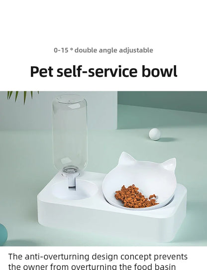 Ergonomic Tilted Pet Bowl