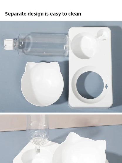 Ergonomic Tilted Pet Bowl