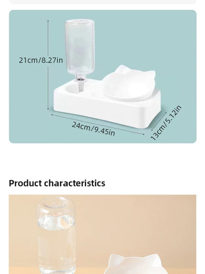 Ergonomic Tilted Pet Bowl