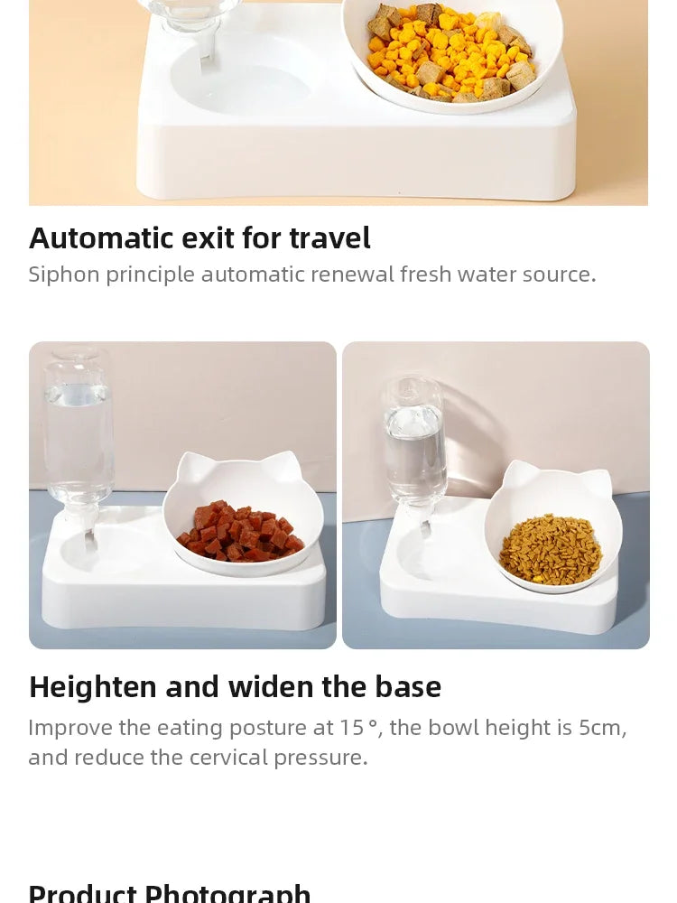 Ergonomic Tilted Pet Bowl