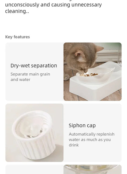 Ergonomic Tilted Pet Bowl